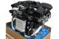 Gasoline engine 276850  - Image 2